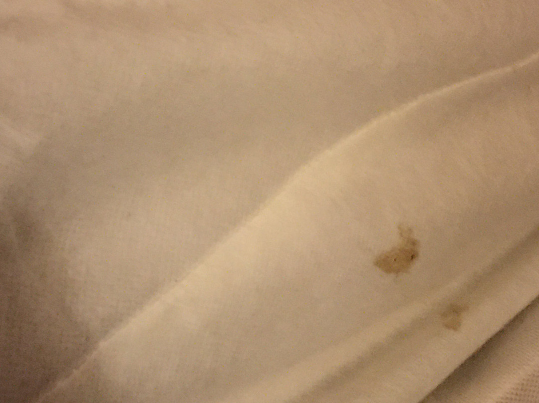 Clarks Beach Motel主图