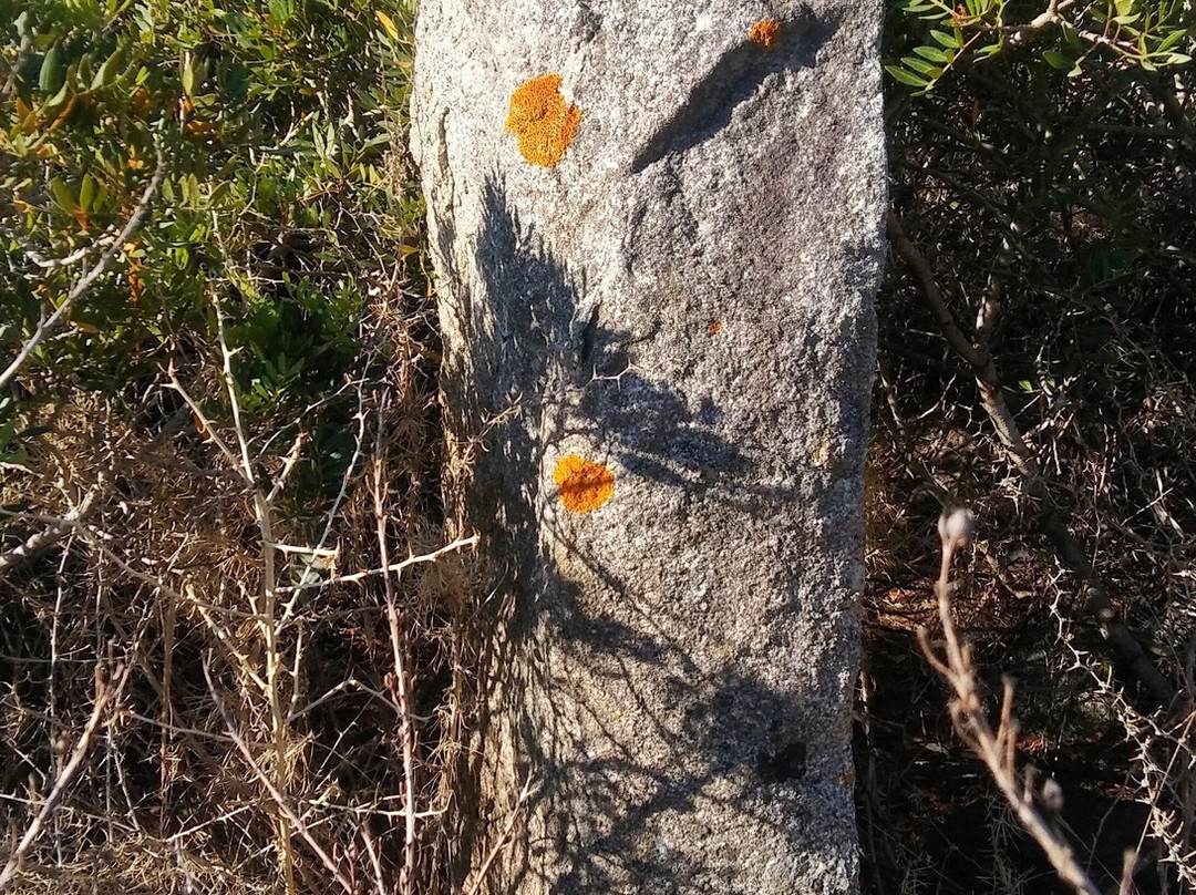 Menhir di Piscina Rei景点图片