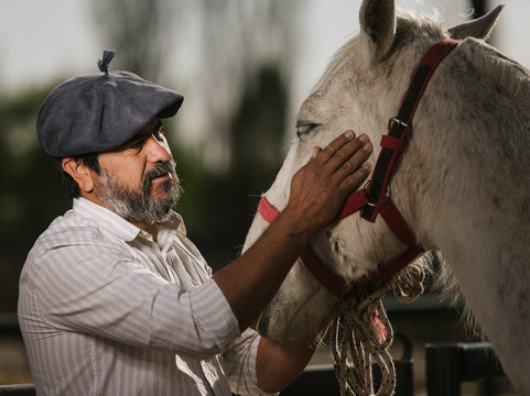 GAUCHO ESTATE-门多萨必去景点