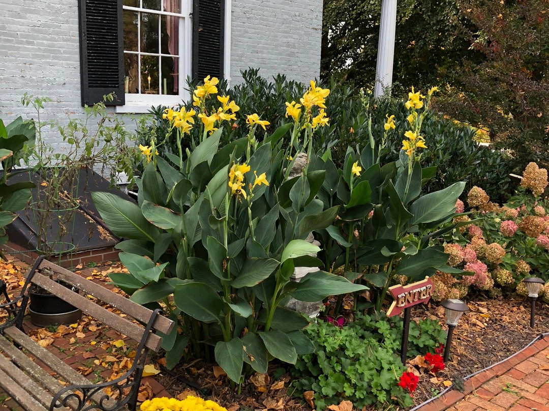 The Carriage House Inn Bed and Breakfast主图