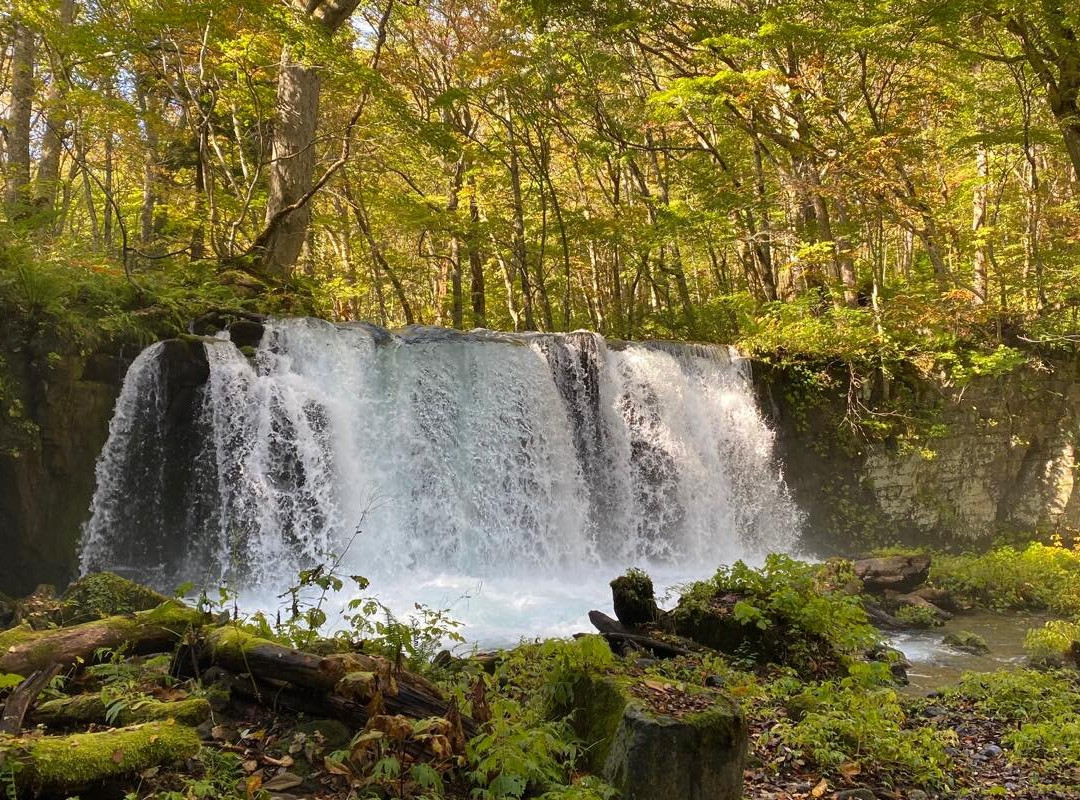 Choshi Otaki Waterfall景点图片