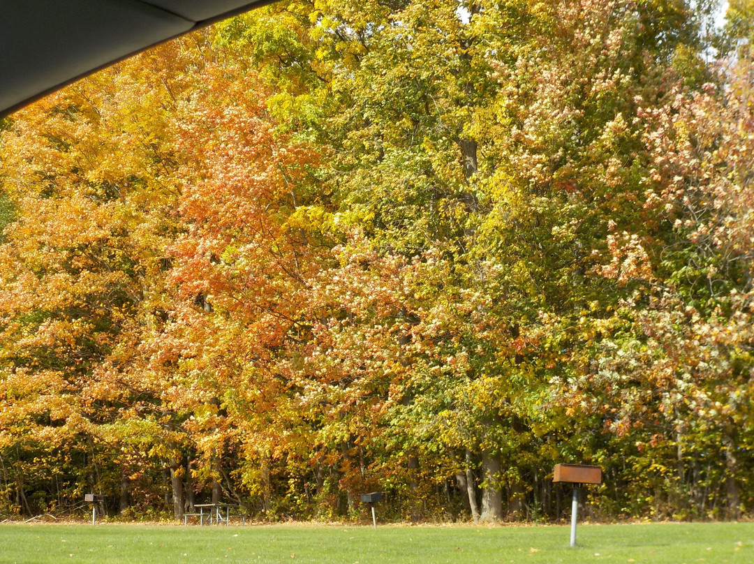 Lakeside Beach State Park-Waterport必去景点