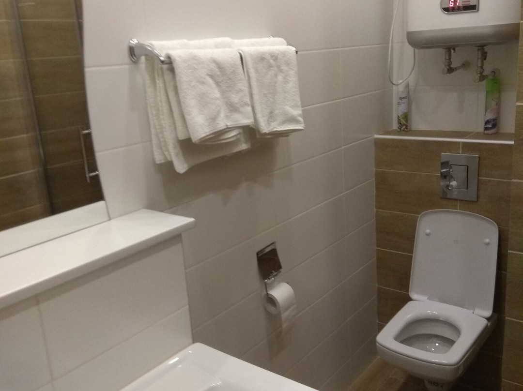 Gostinitsa na Reshetskoy 63主图