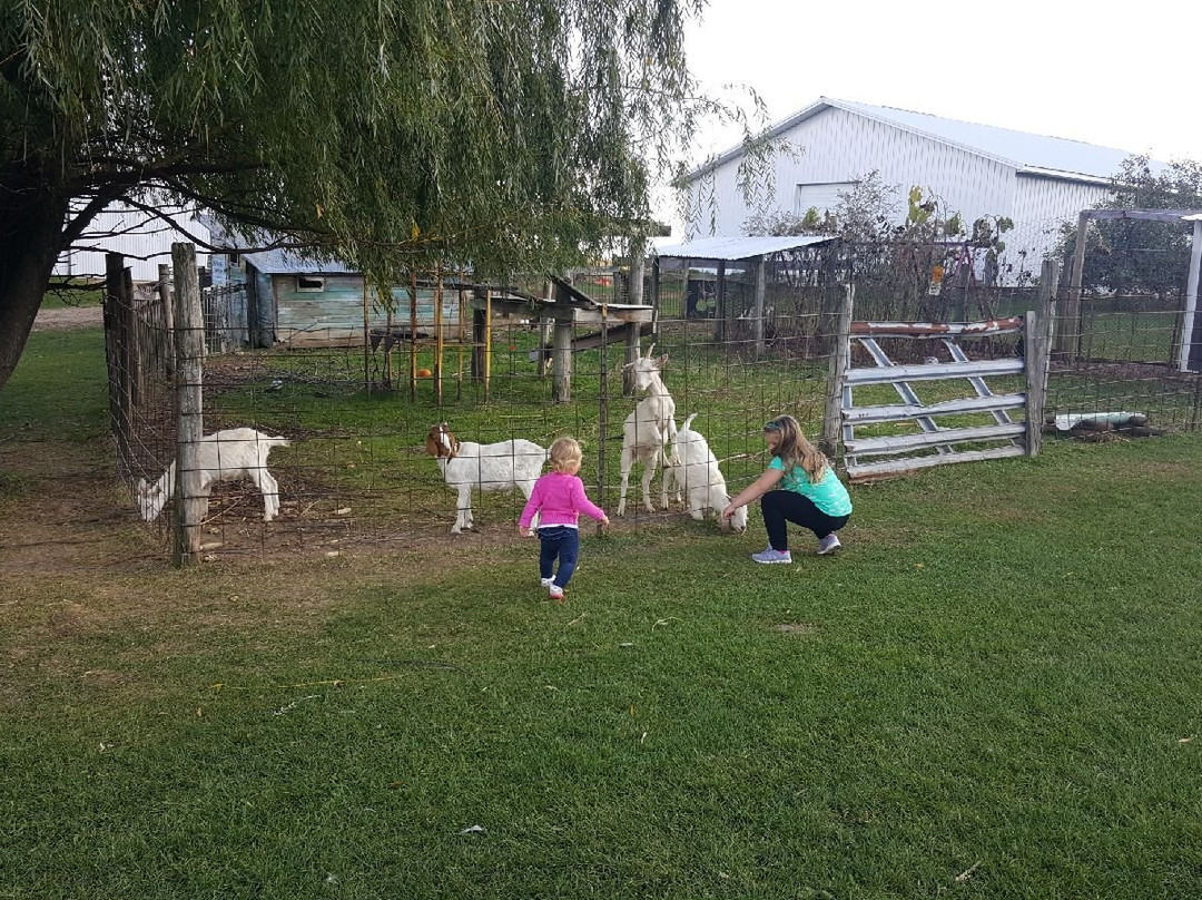 Lapacek’s Orchard-Poynette必去景点