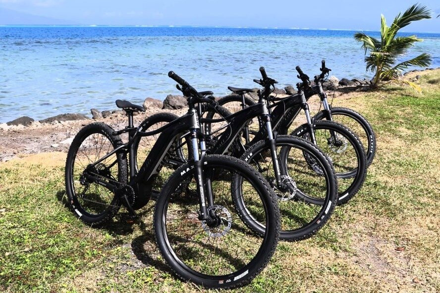 Electric Motors Moorea-莫雷阿岛必去景点