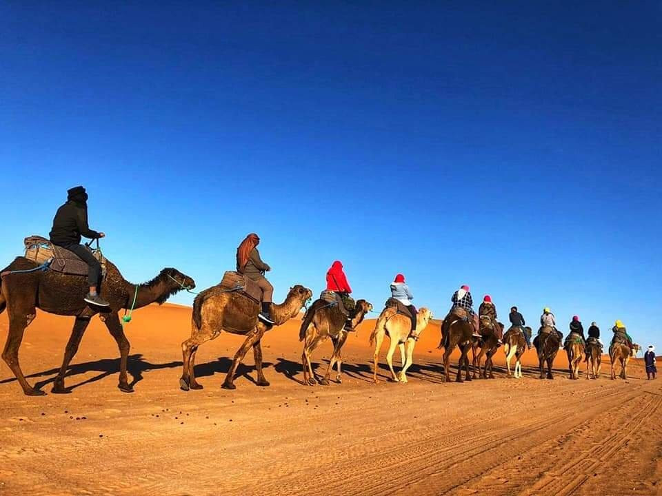 Erg Chebbi Dunes-梅克内斯-塔菲拉勒特区必去景点