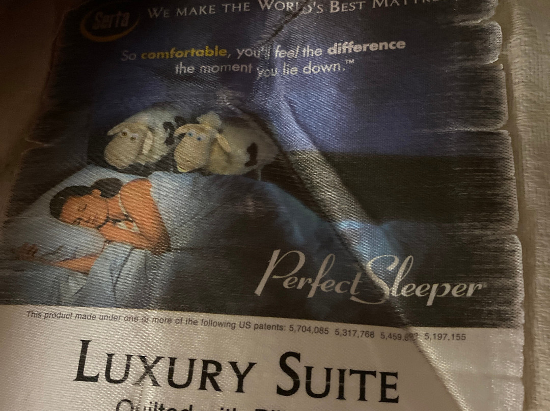 Holiday Inn Express Marshfield (springfield Area) By IHG主图