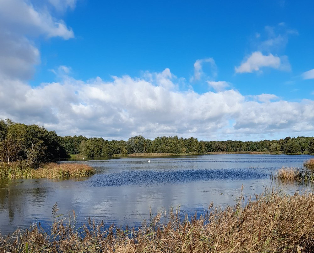 Wykeham Lakes Fishery景点图片