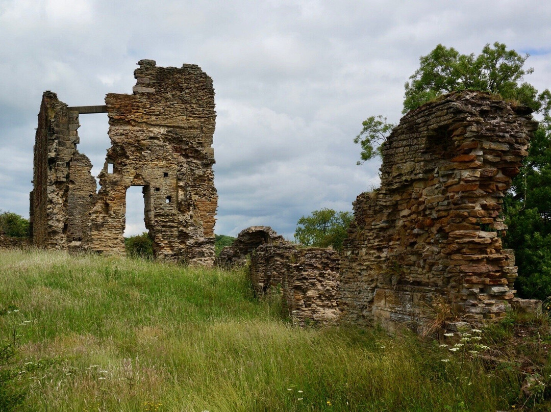 Codnor Castle景点图片