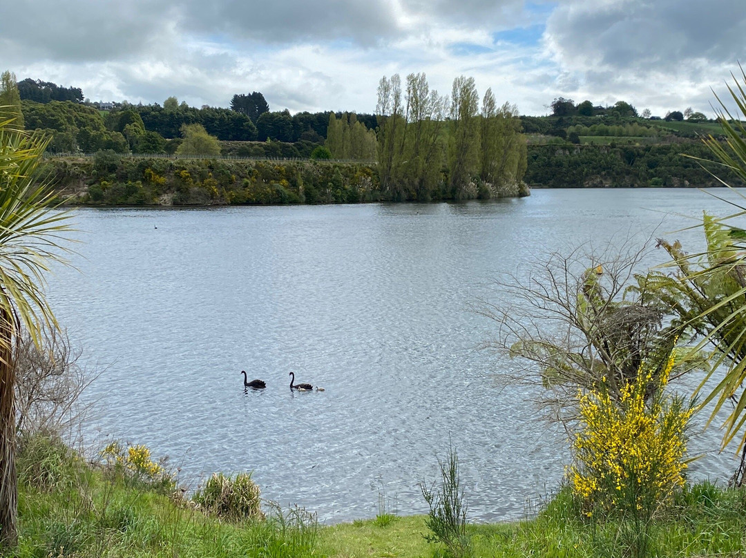 Waikato River Trails-普塔鲁鲁必去景点