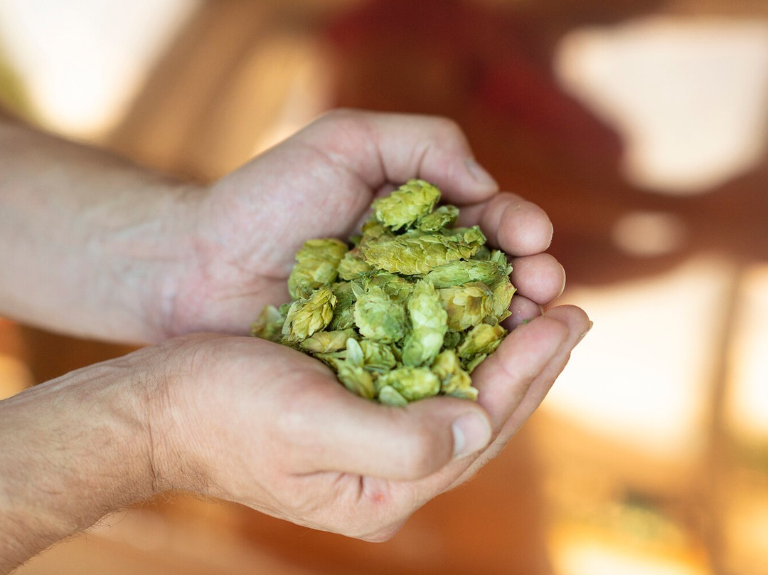 Rugenbraeu Brewery-马滕必去景点