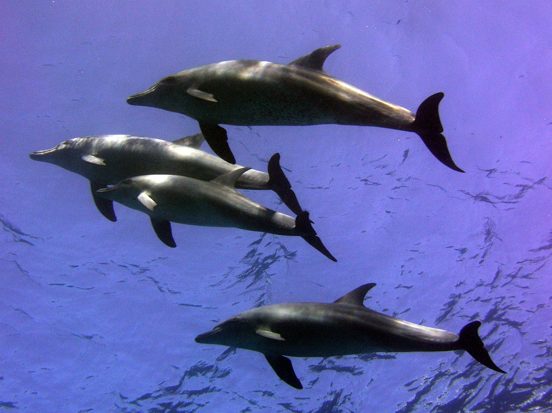 Got Your Guides-马卡迪湾必去景点