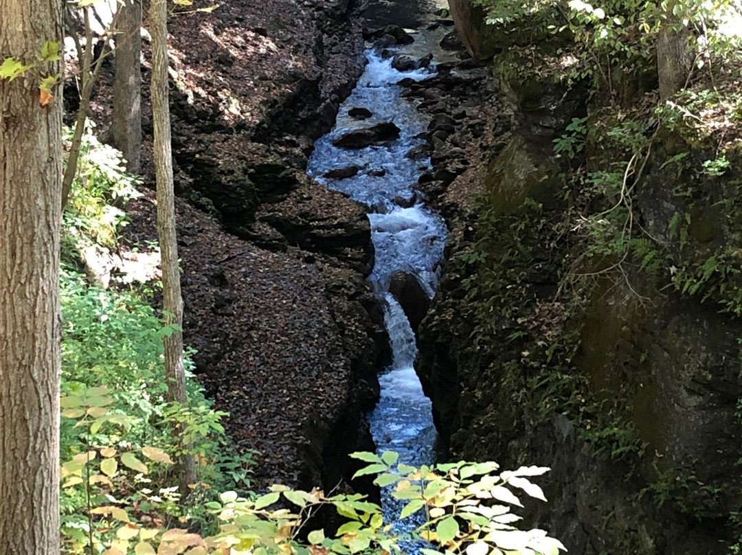 Clifton Gorge State Nature Preserve-Yellow Springs必去景点