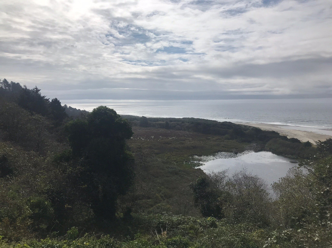 Winema Wayfinding Point-Neskowin必去景点