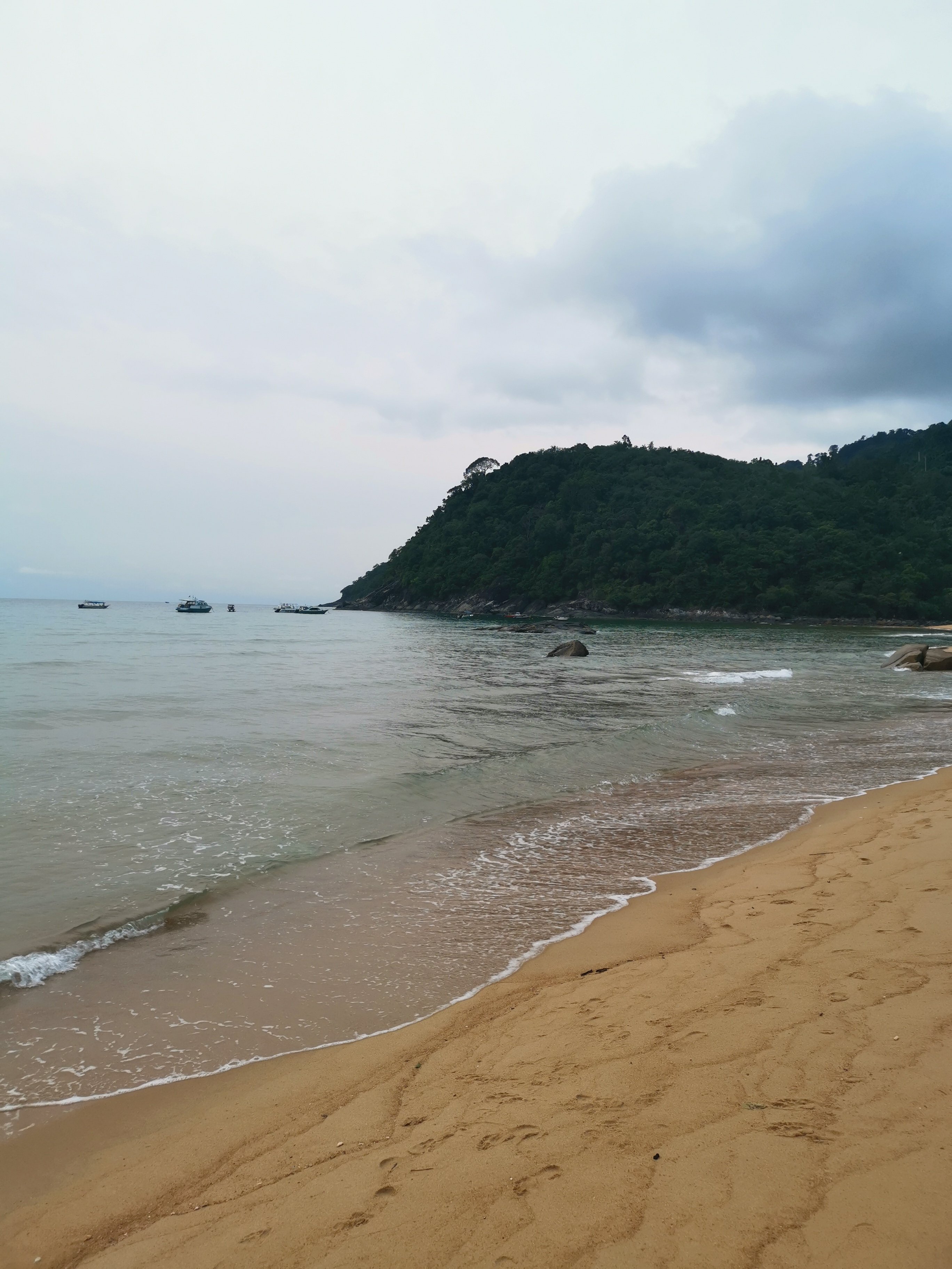 1511 Coconut Grove-泳池