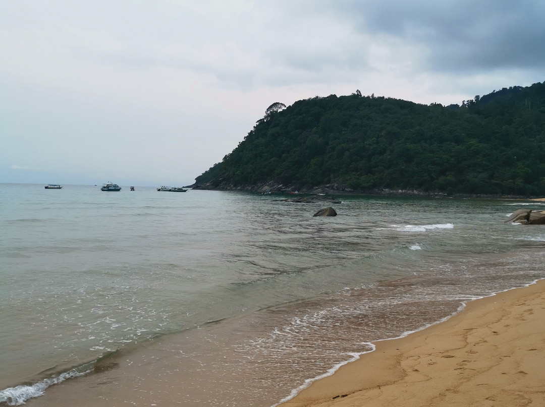 1511 Coconut Grove主图