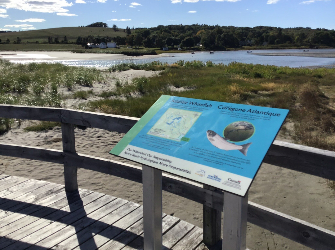 Rissers Beach Provincial Park景点图片