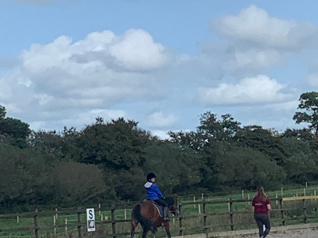 Garlands Farm Trekking and Horse Riding Centre-Highampton必去景点