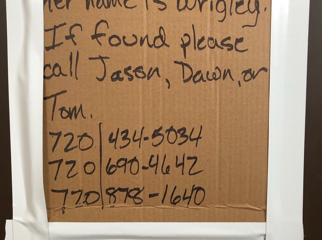 Clear Creek Reservoir-布埃纳维斯塔必去景点