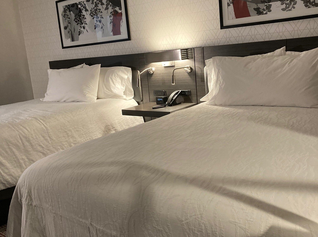 东艾尔文/森林湖希尔顿花园酒店主图