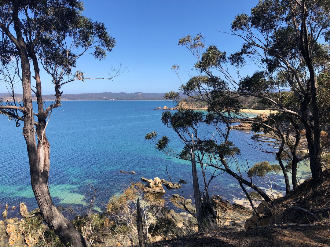 Bundian Way Story Trail-伊登港必去景点