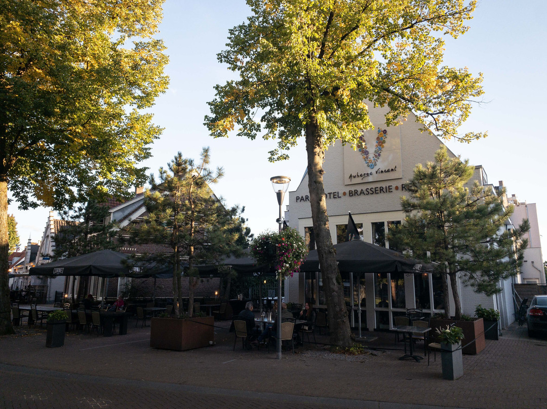 Parkhotel  Auberge Vincent主图