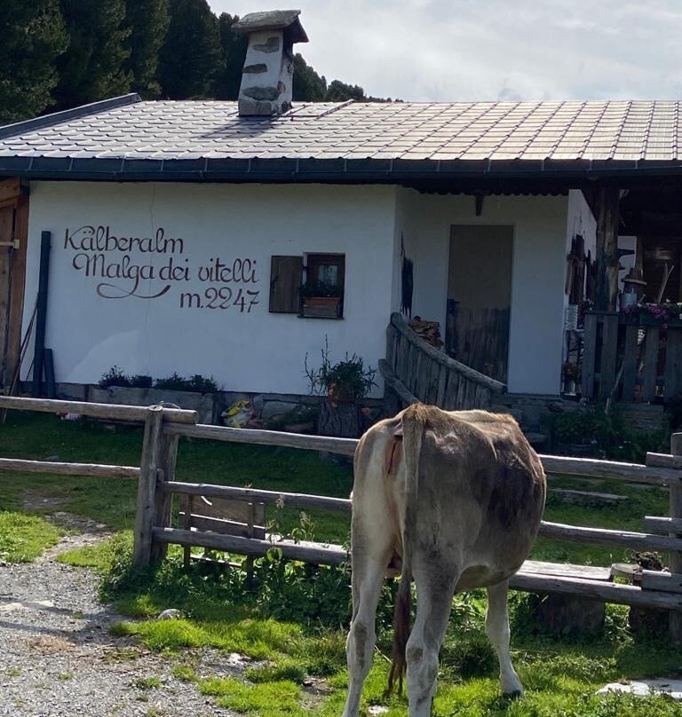 Malga dei Vitelli-Solda必去景点