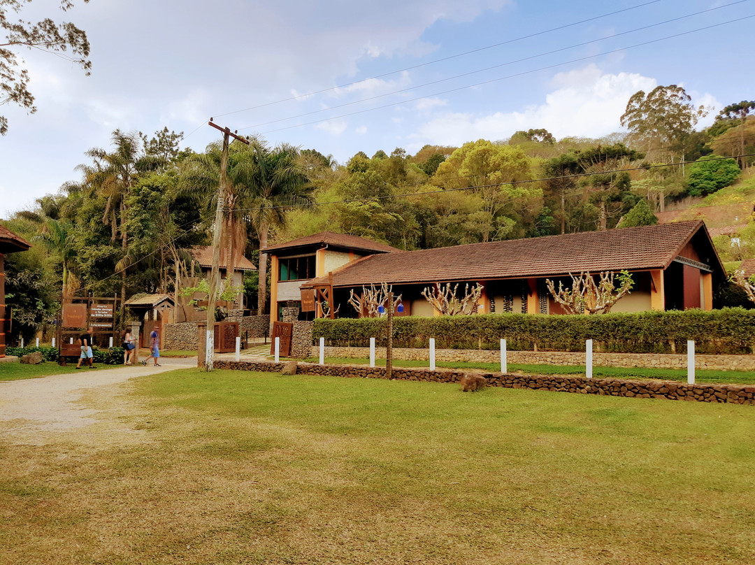 A Bodega-圣安东尼奥杜皮尼亚尔必去景点