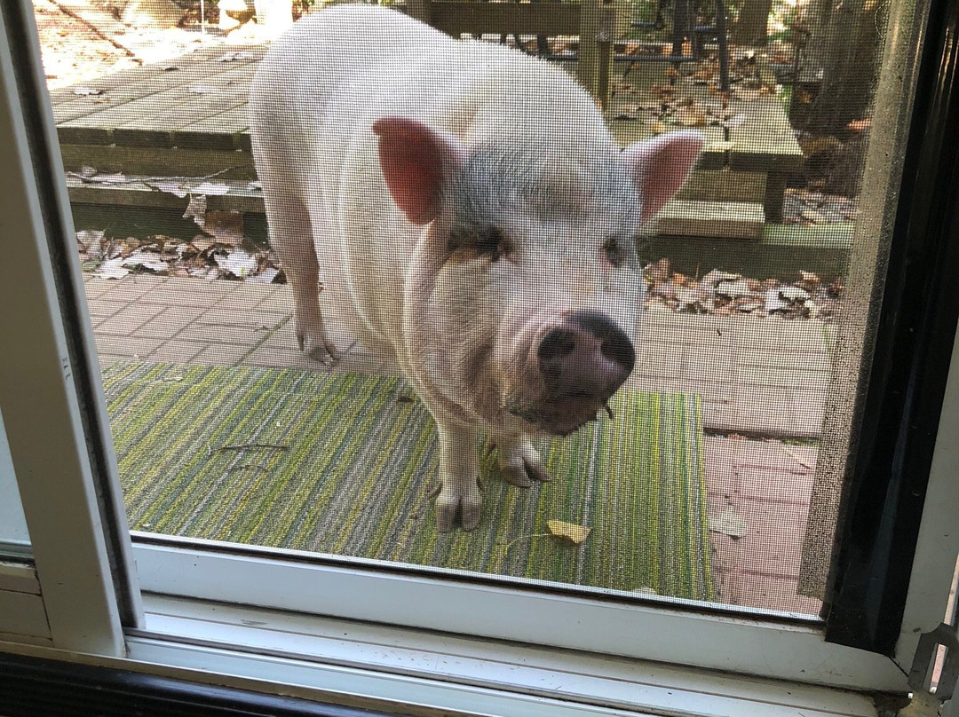 Natures Energy Centre & Sanctuary主图