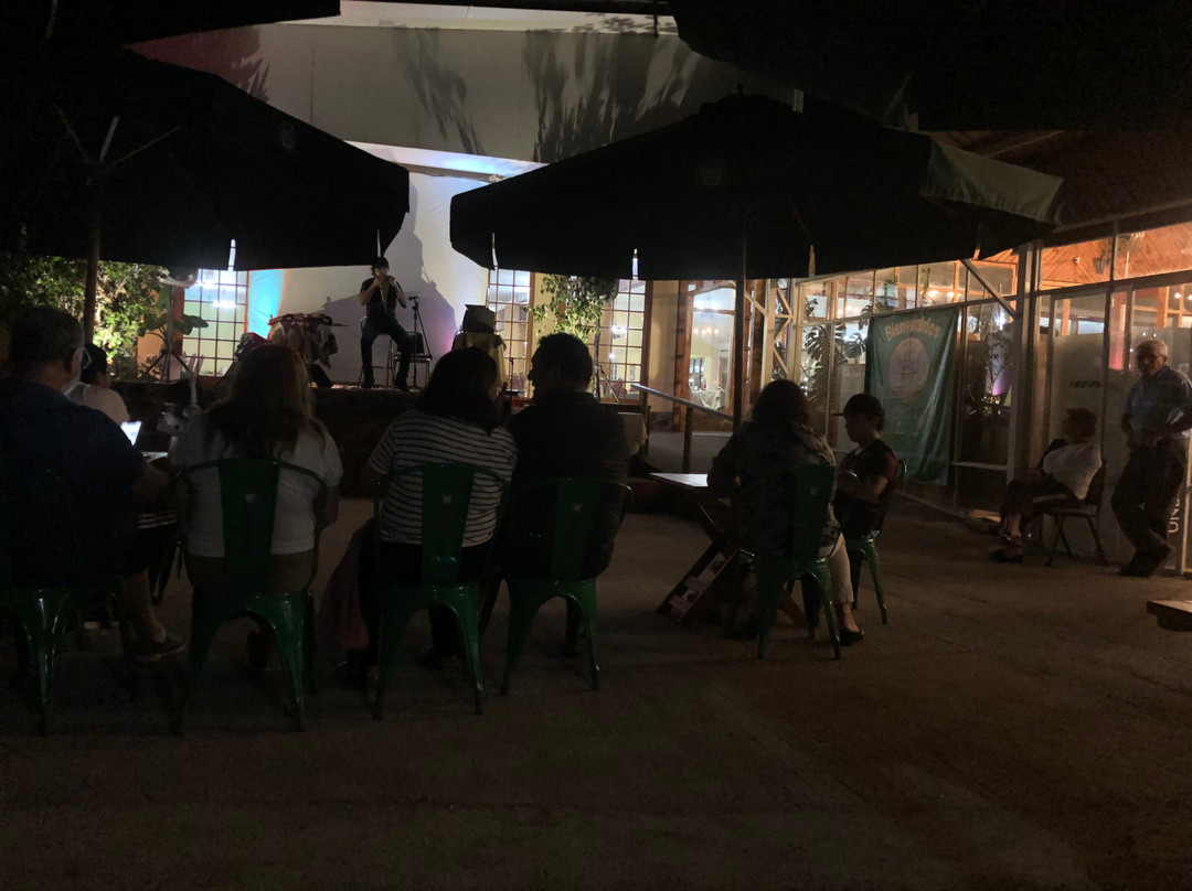 Termas de Quinamavida主图