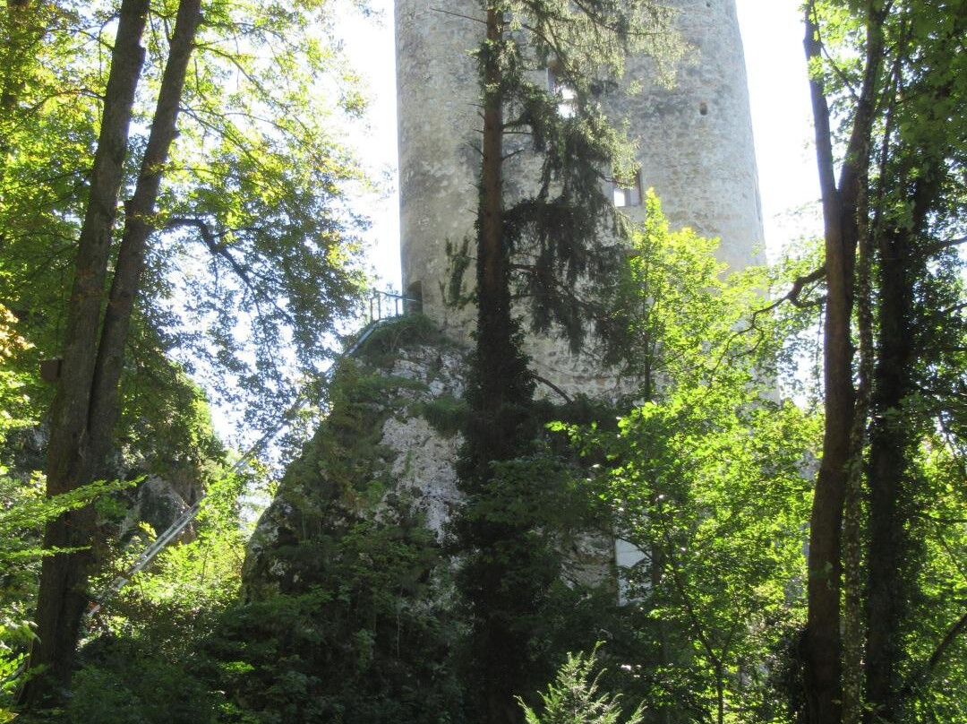 Burg Thierstein景点图片