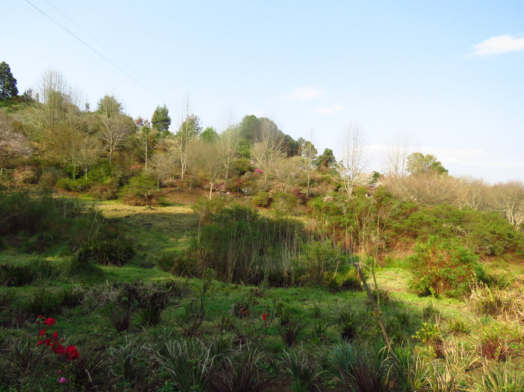 Bramasole Boutique Hotel主图