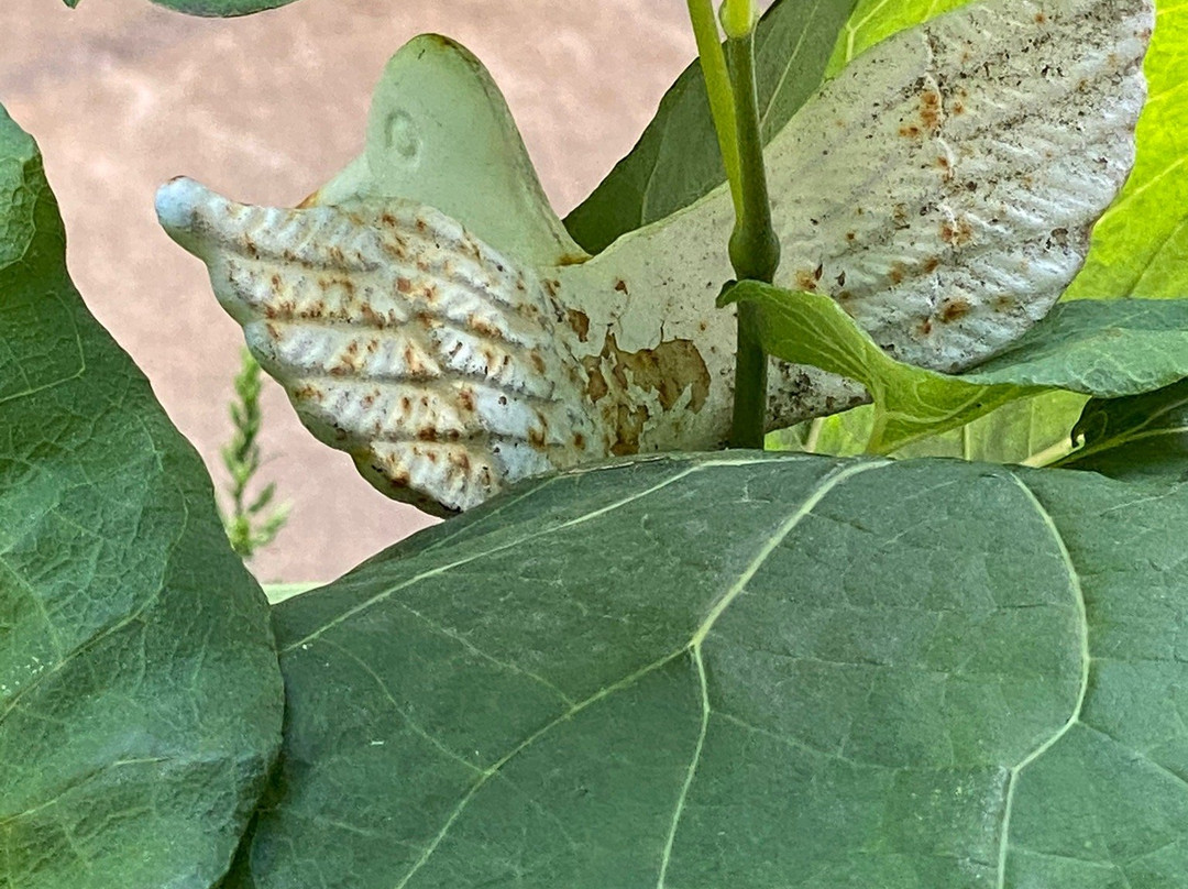 Telegraph House主图