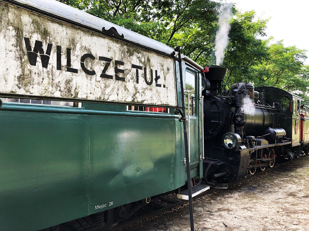 Narrow Gauge Railway Museum in Sochaczew景点图片