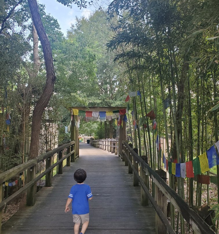 Hattiesburg Zoo景点图片