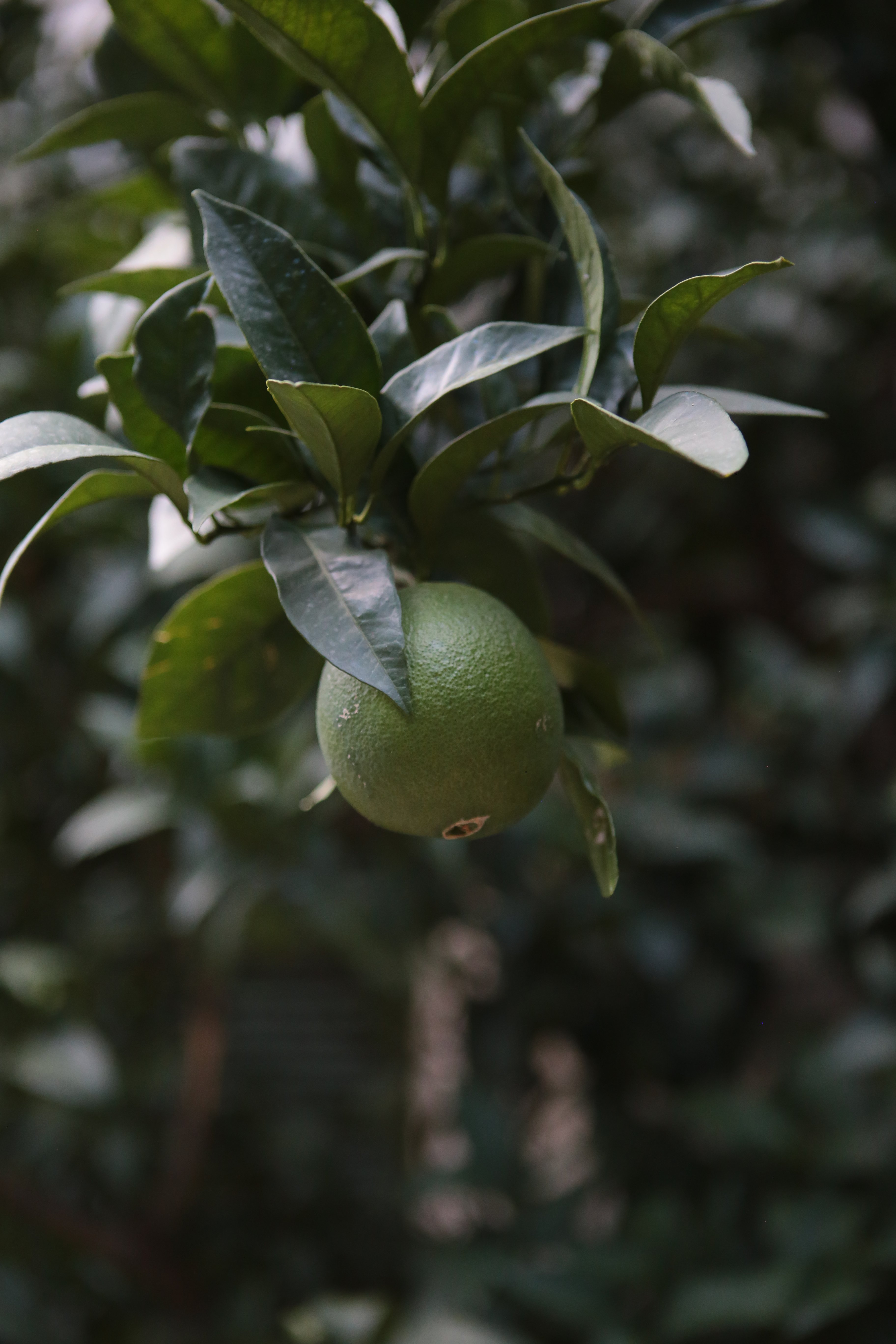 Azienda Agrituristica Il Quadrifoglio-浴室