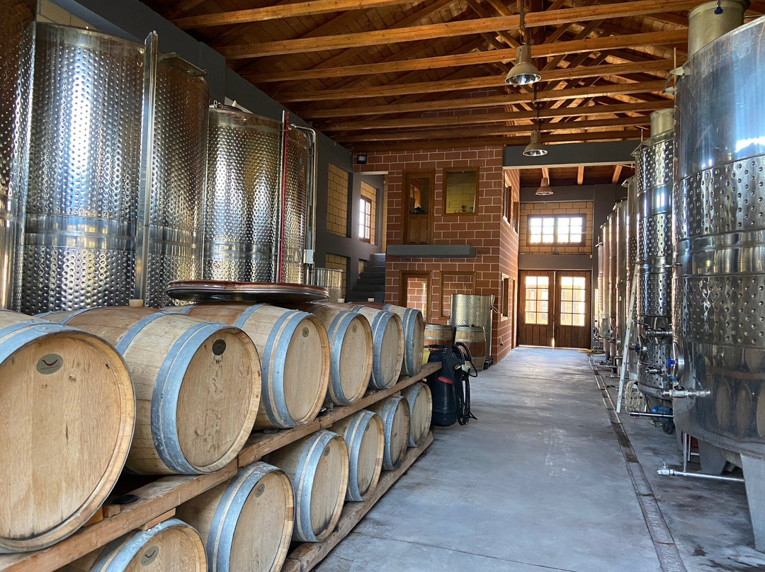 Lefkas Earth Winery-莱夫卡扎必去景点