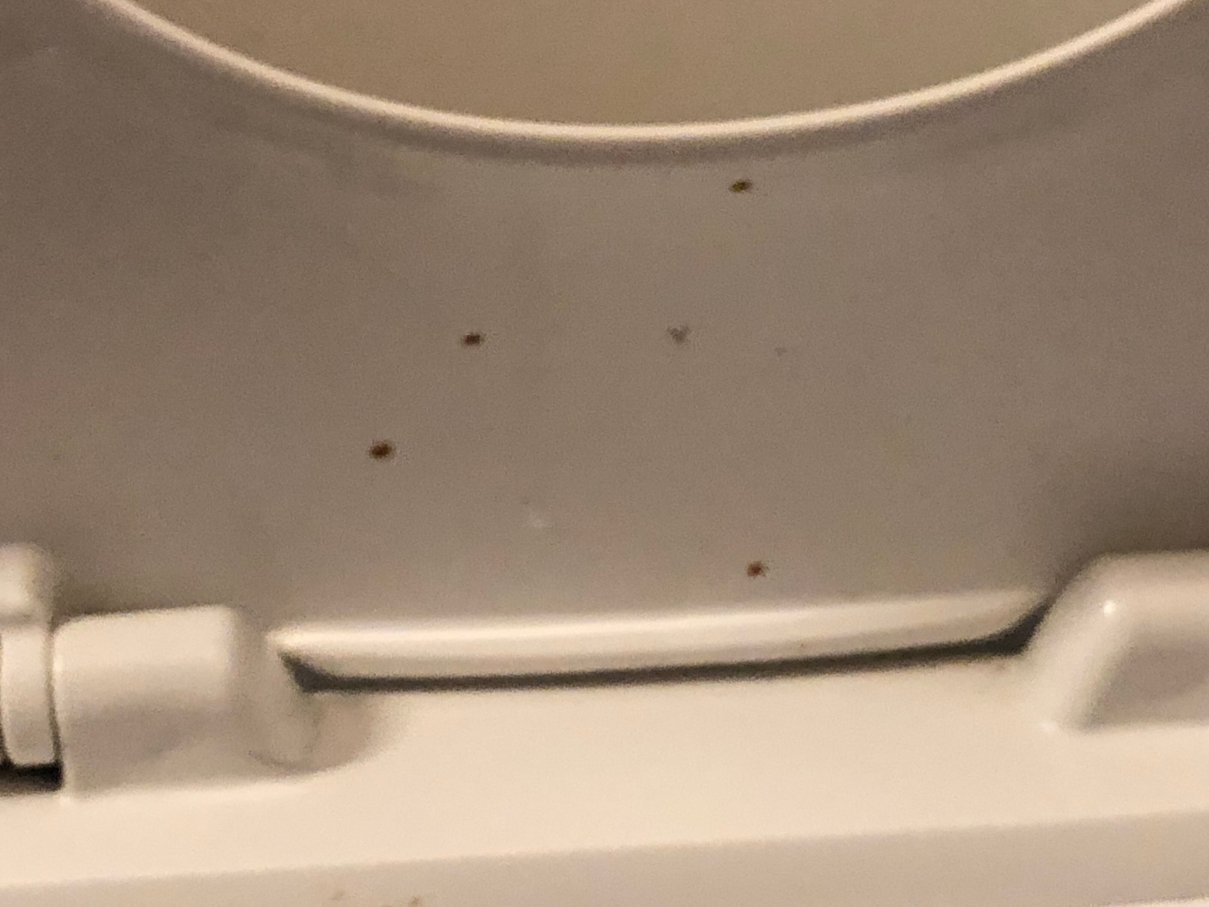 贝尔福B&B酒店-浴室