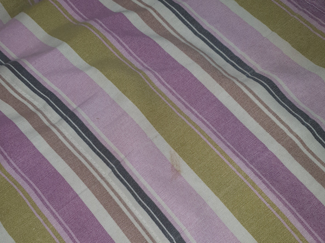 阿斯科纳酒店主图