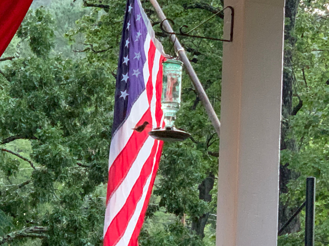 Vine Cottage Inn主图