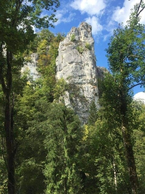 Naturpark Obere Donau景点图片