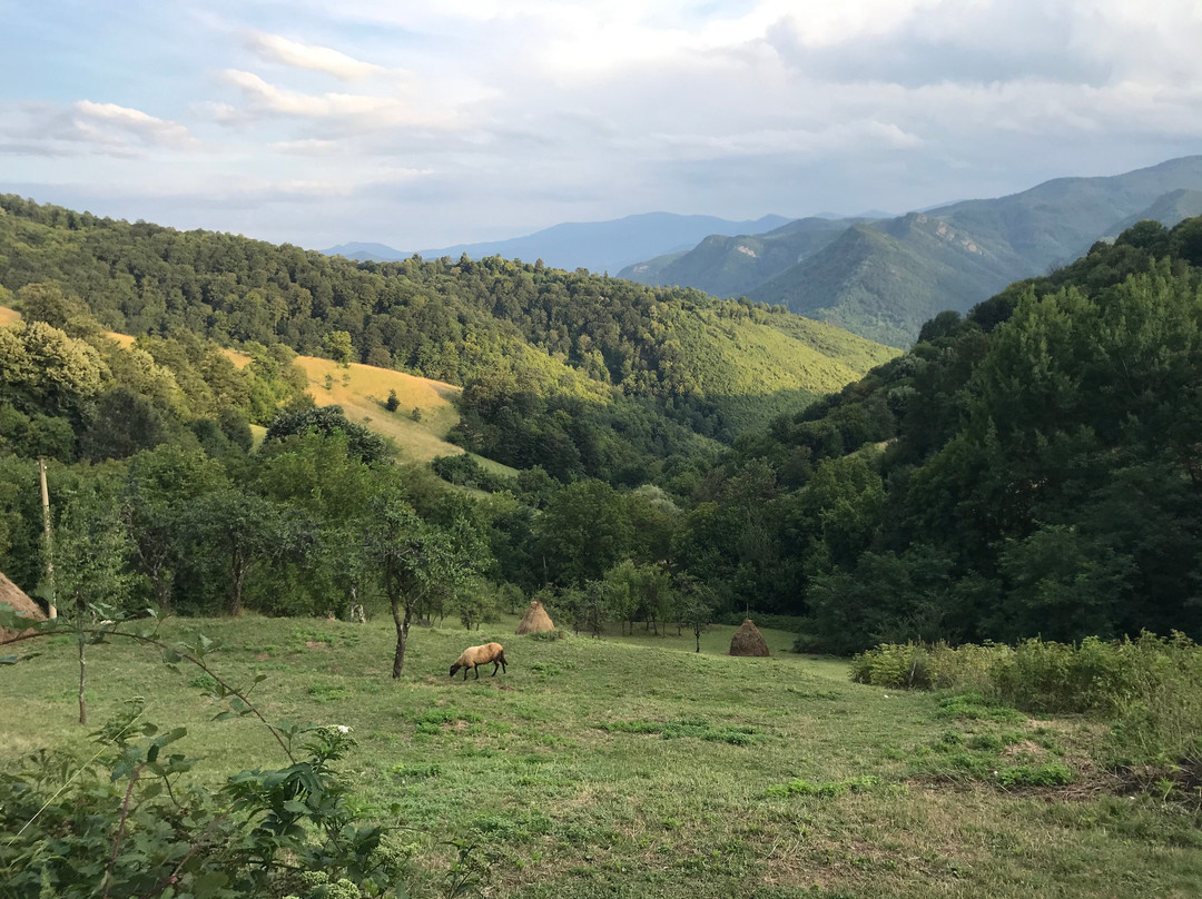 彻尔文别墅酒店主图