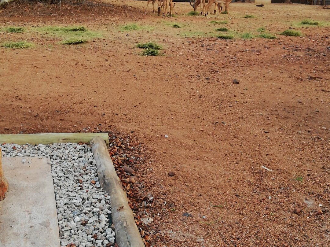 Tusk Bush Lodge主图