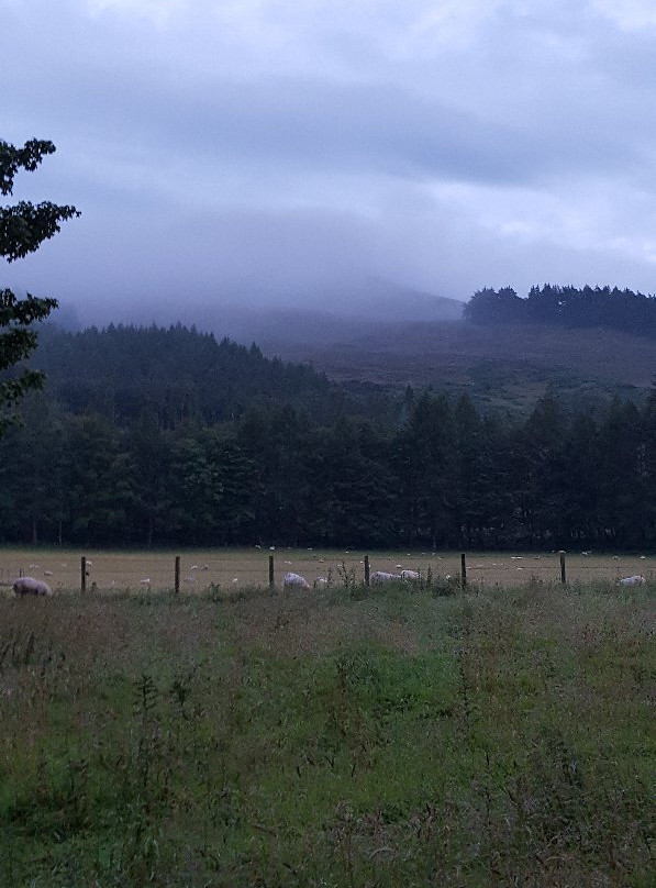 Lomond Hills-Falkland必去景点