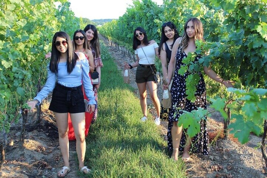 Fallsview Limo Niagara Tour & Transportation Service-尼亚加拉大瀑布必去景点