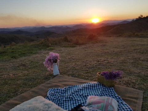 加里奥农庄主图