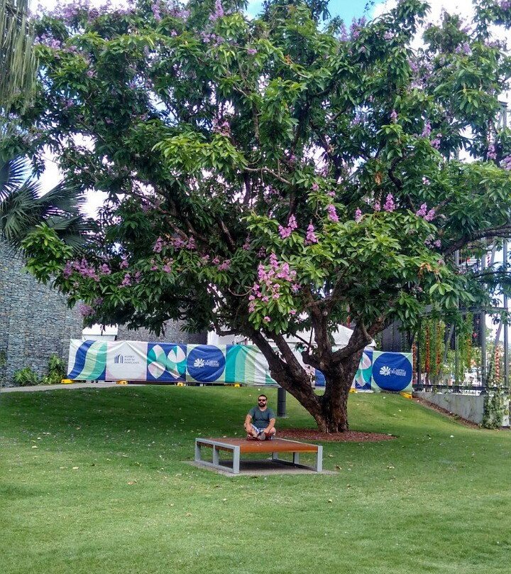 Munro Martin Parklands-凯恩斯必去景点