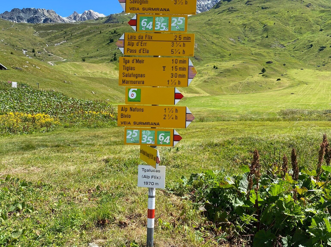 Alp Flix-Sur必去景点