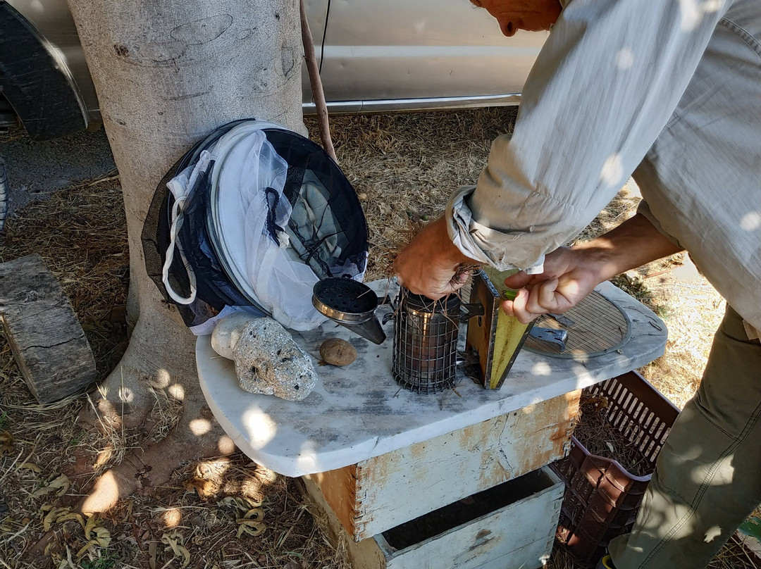 Polemarchi旅游攻略图片