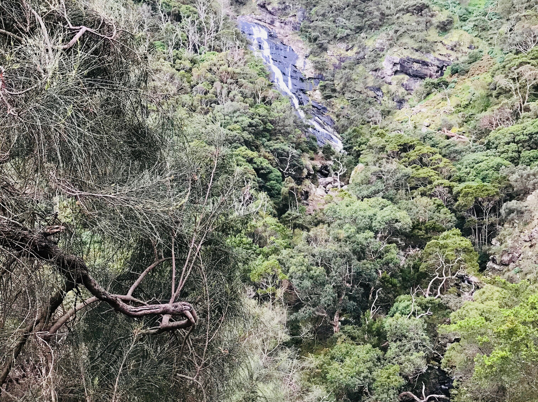 Carisbrook Waterfall-Wongarra必去景点